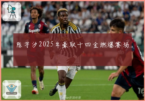 陈芋汐2025年豪取十四金燃爆赛场