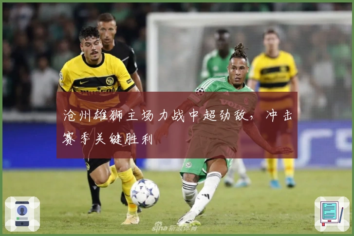 沧州雄狮主场力战中超劲敌，冲击赛季关键胜利